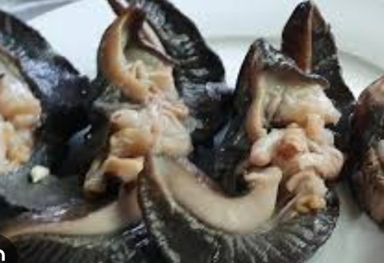 Edith🎠🎠🎠🎠🌍🌍🌍🌍Mrs Whiteman tweet media