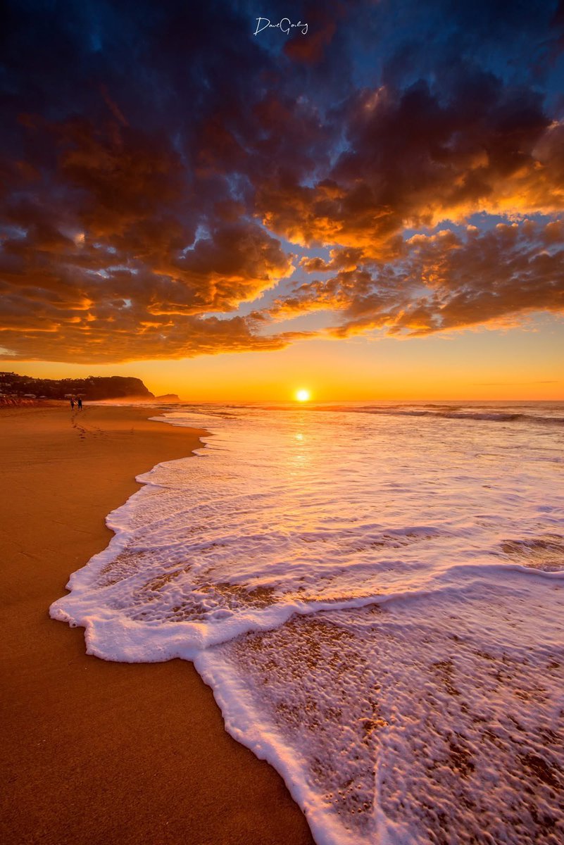 Anthony Sider tweet media