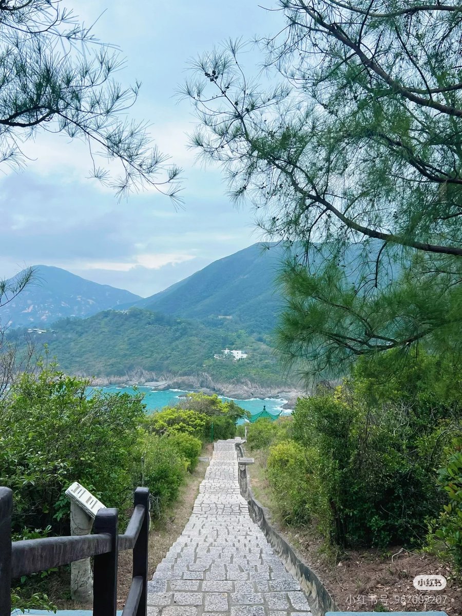 EnjoyLifeOday's tweet photo. 徒步小西湾看风景🇭🇰 https://t.co/h55qKEtCS2