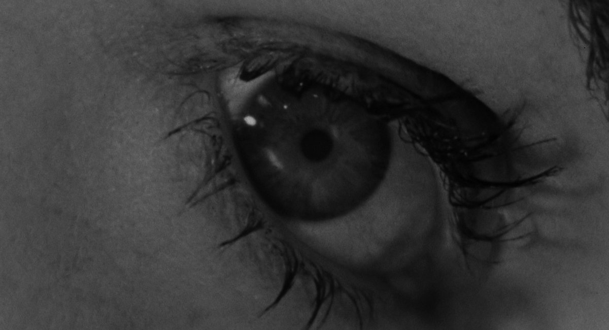 FilmFrame tweet media