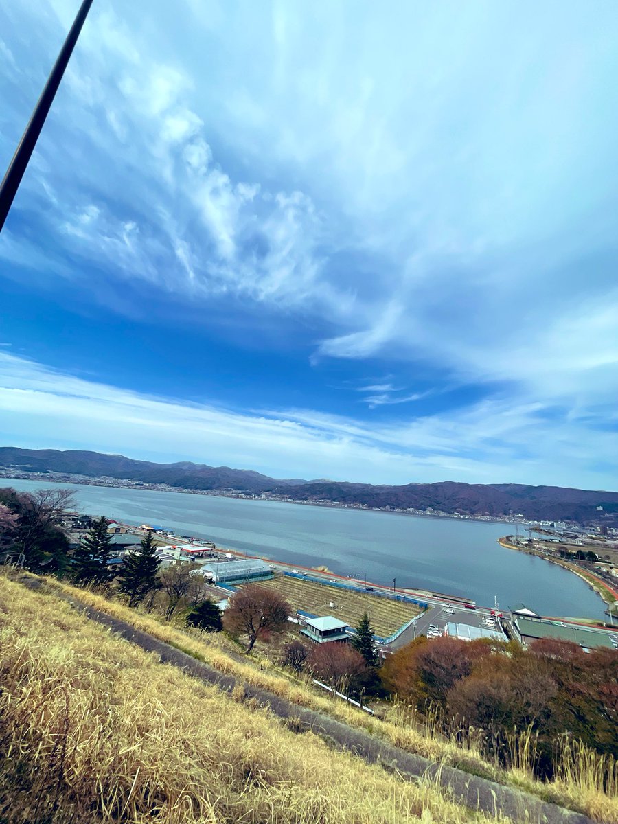 yosuke610 tweet media