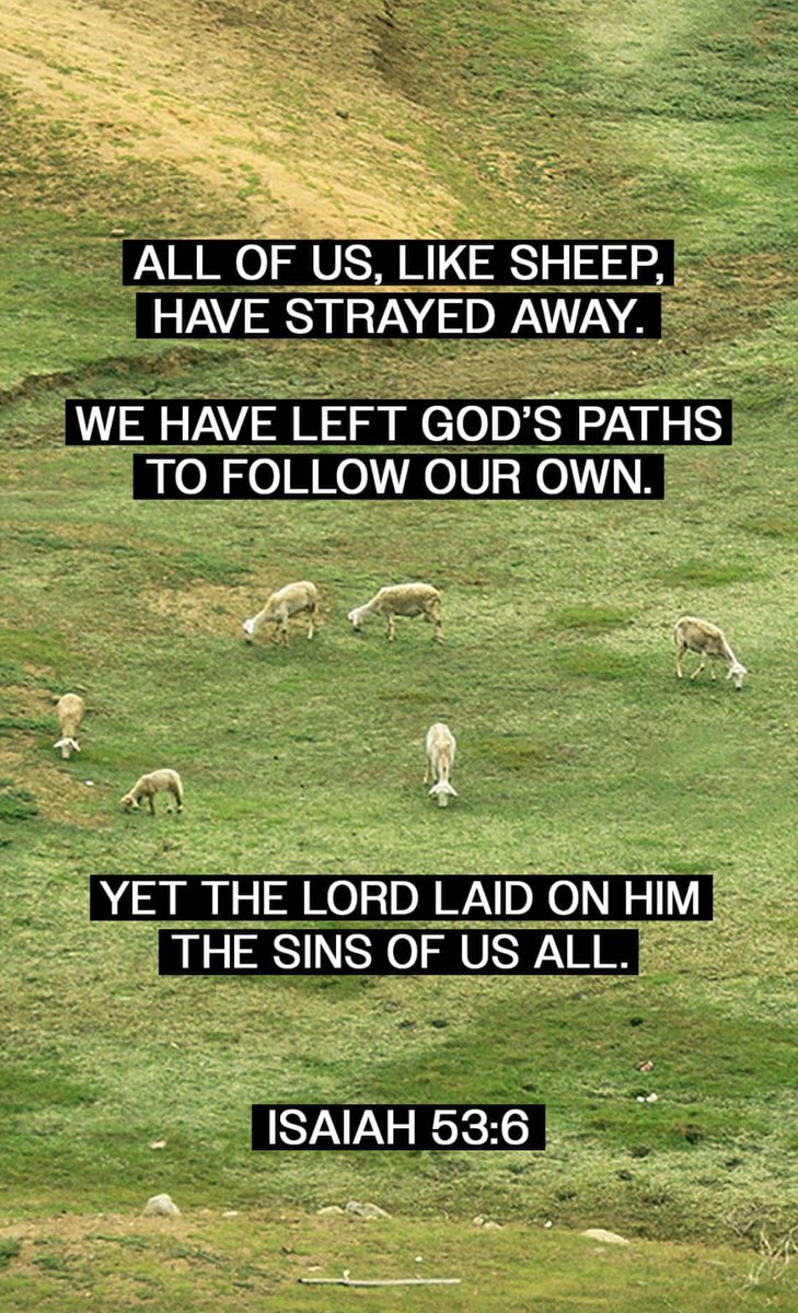 Coach Bryan tweet media