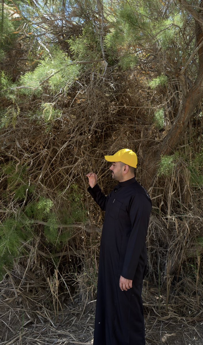 سائد السردي _ Saed alsarde tweet media