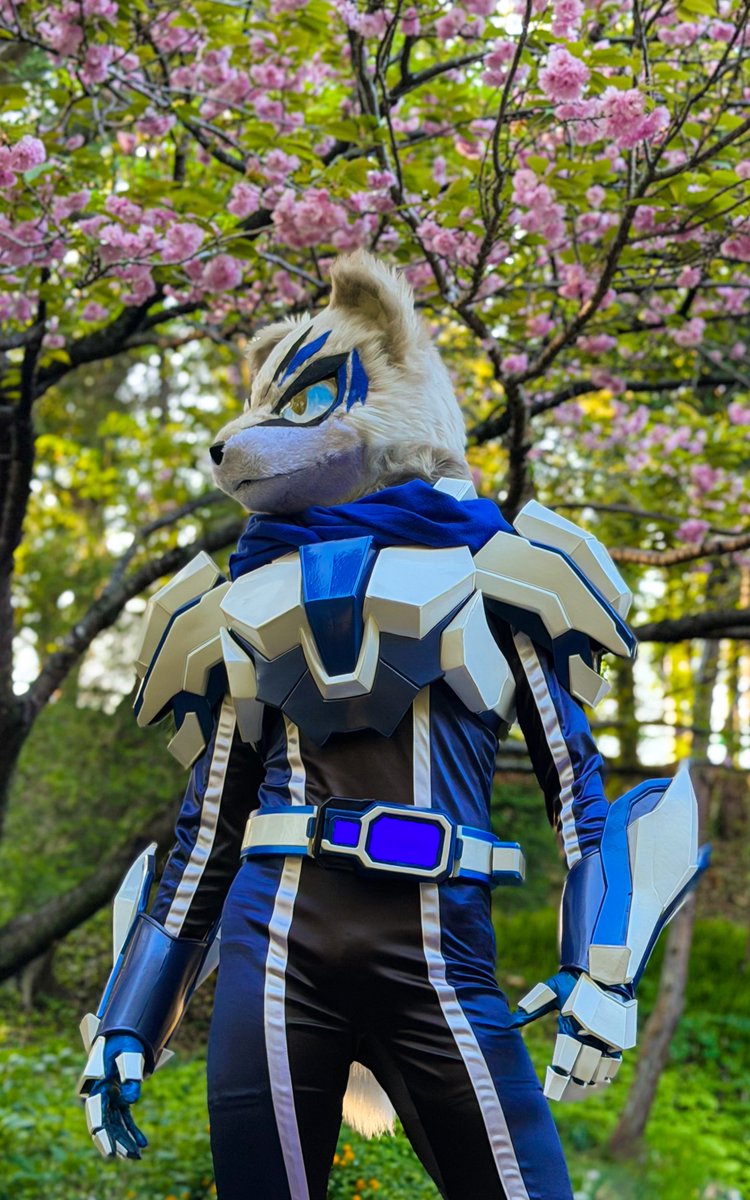 ソルト ウルフ tweet media