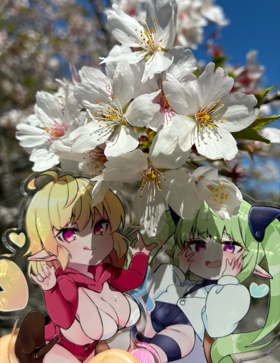 うちの子達と桜見に行ってきました😆
次は藤だね。 