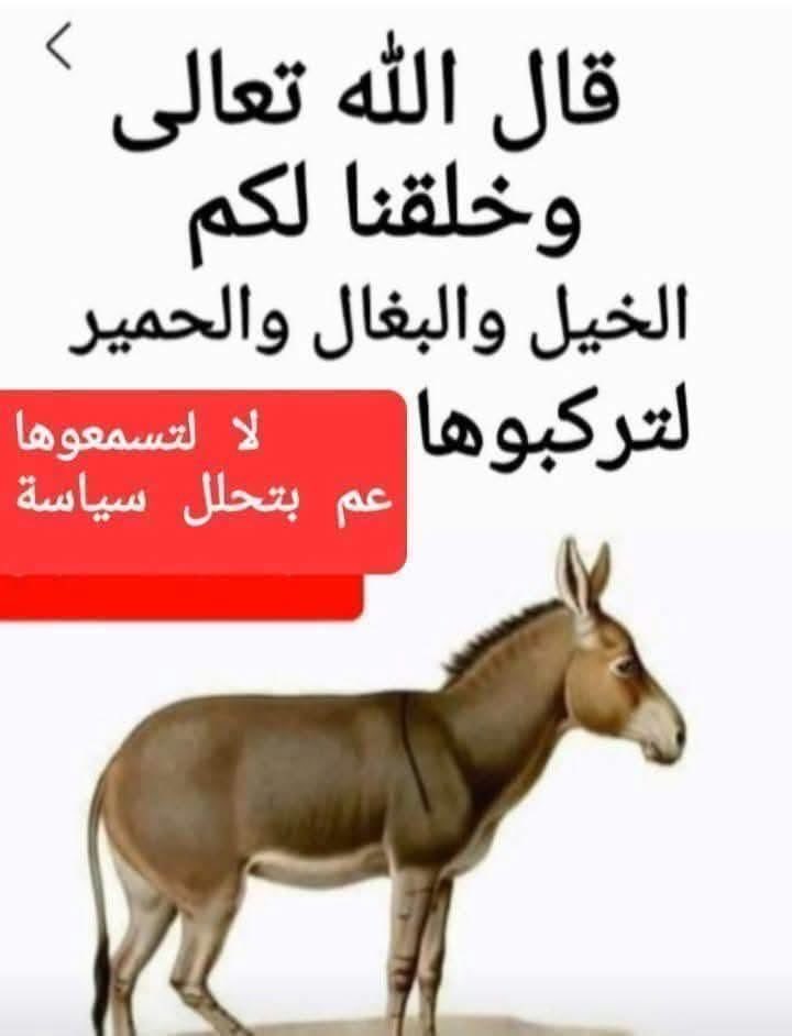 ✨Abdullah Saad✨ tweet media