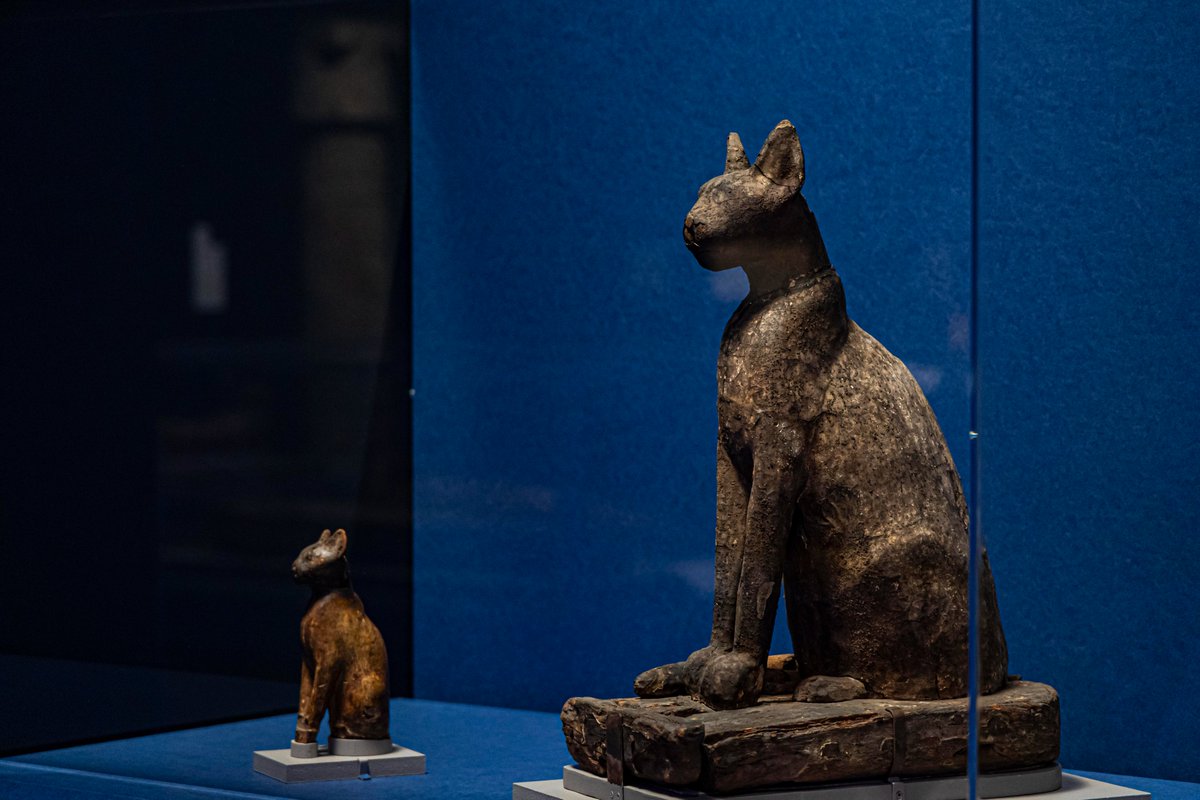古代エジプト展 大阪会場】 🐈‍⬛古代エジプト人と動物たち🐈‍⬛～ネコ