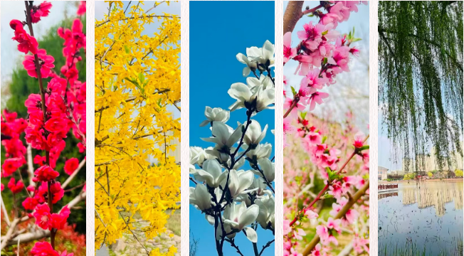 Linfen of China tweet media