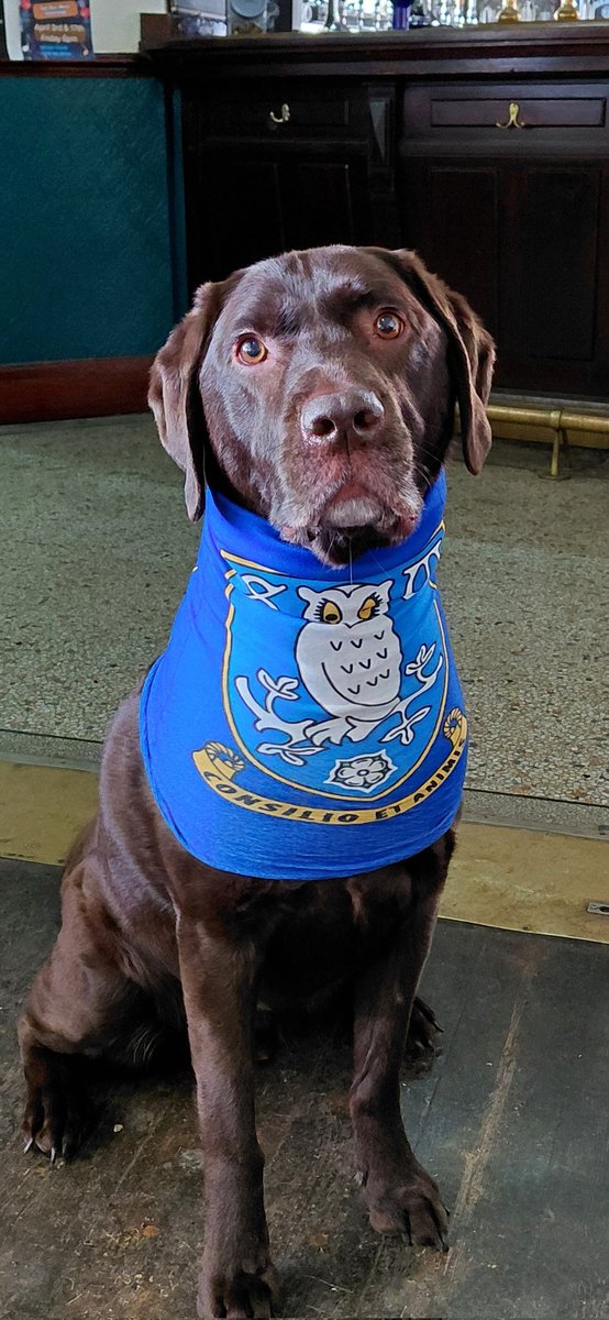 New Barrack Tavern tweet media