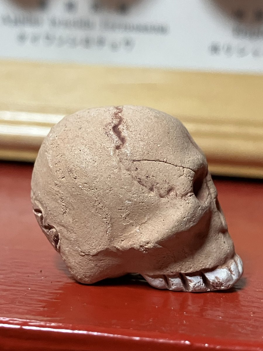 hakuchuum_osaka's tweet image. 髑髏
素焼きの髑髏
高さ約2.5cm
2000円です。
通販ご希望の方はDMください。

#髑髏
#skull