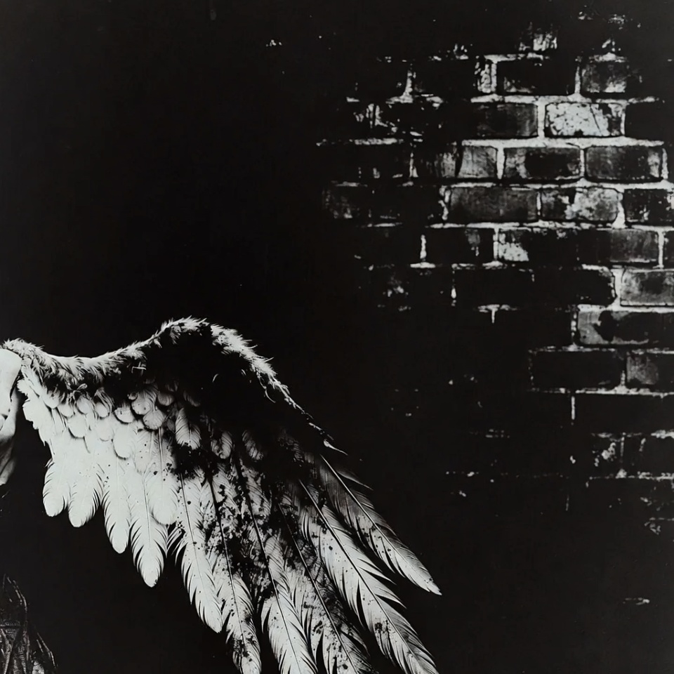 NOIR ON THE VINE: Prose and Poetry tweet media