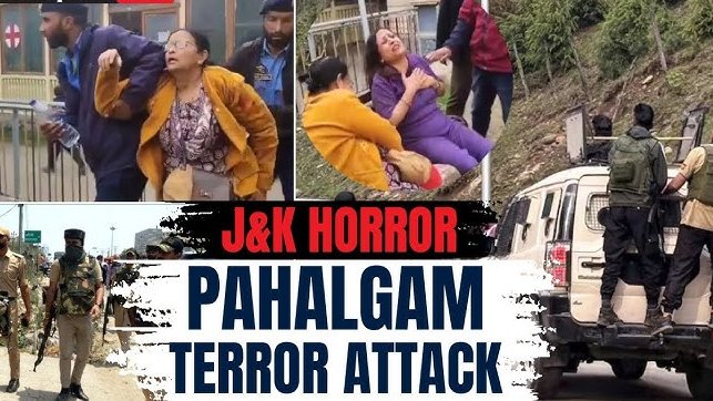 OsintTV 📺 tweet media