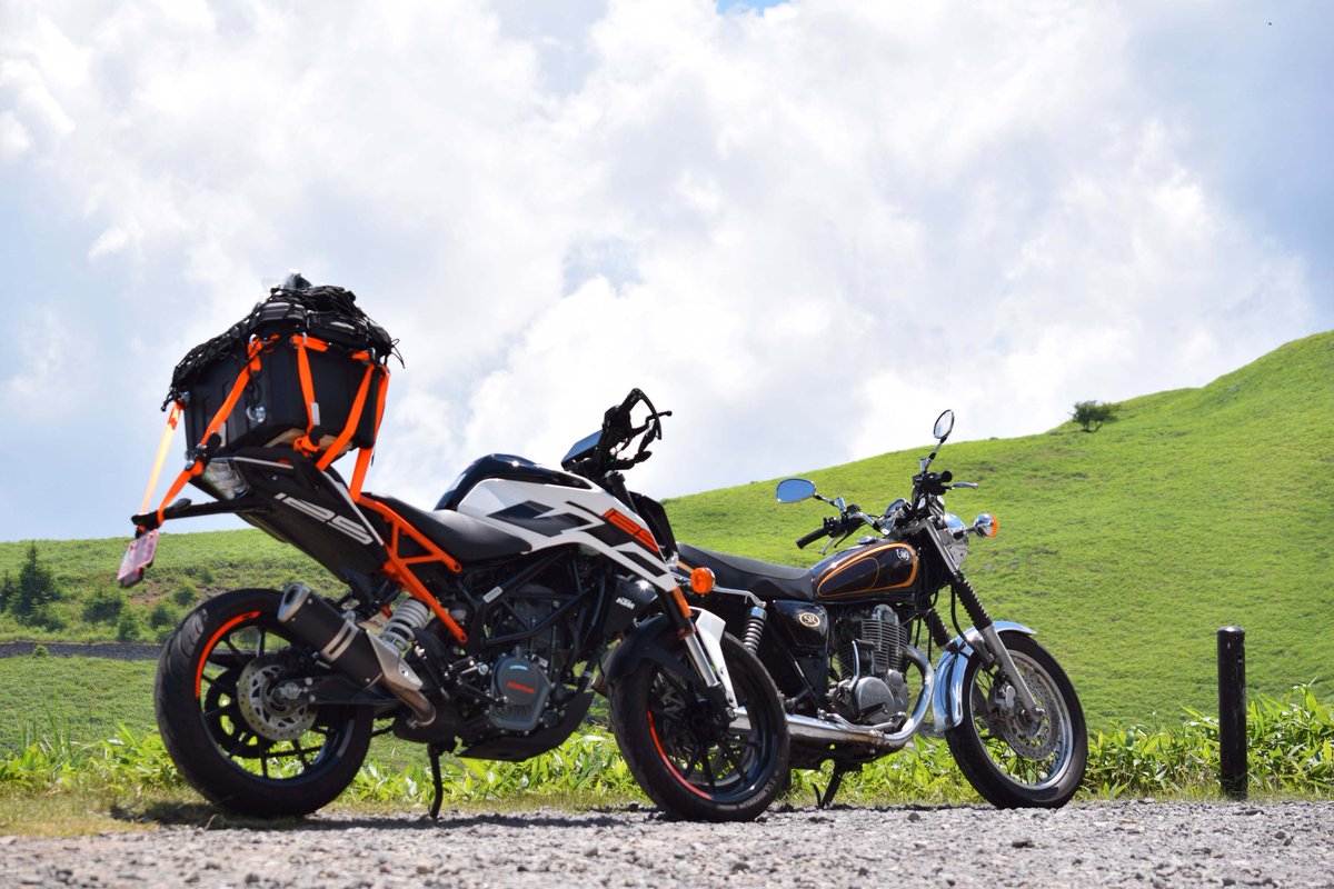 📸🍚おかわり君 tweet media