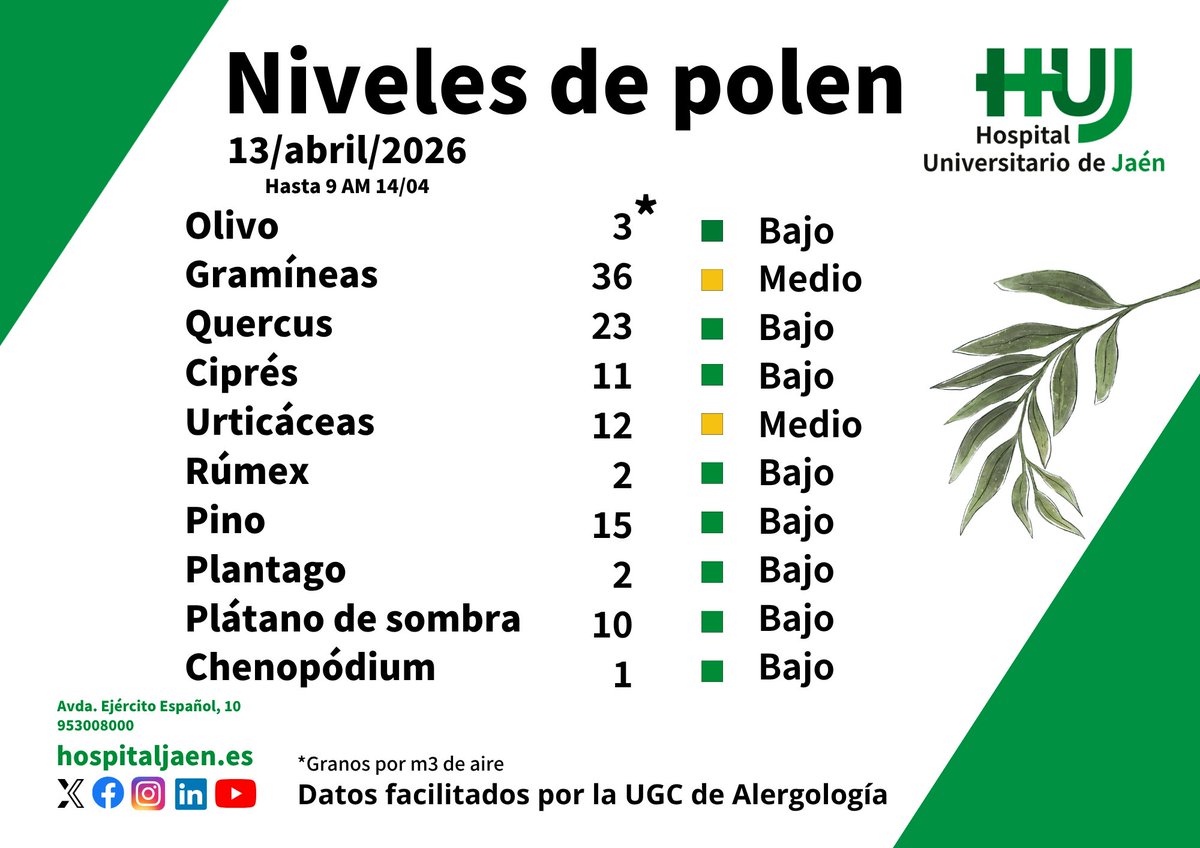 HospitalJaen's tweet image. Datos de los niveles de #polen ofrecidos por el servicio de #alergología del @HospitalJaen