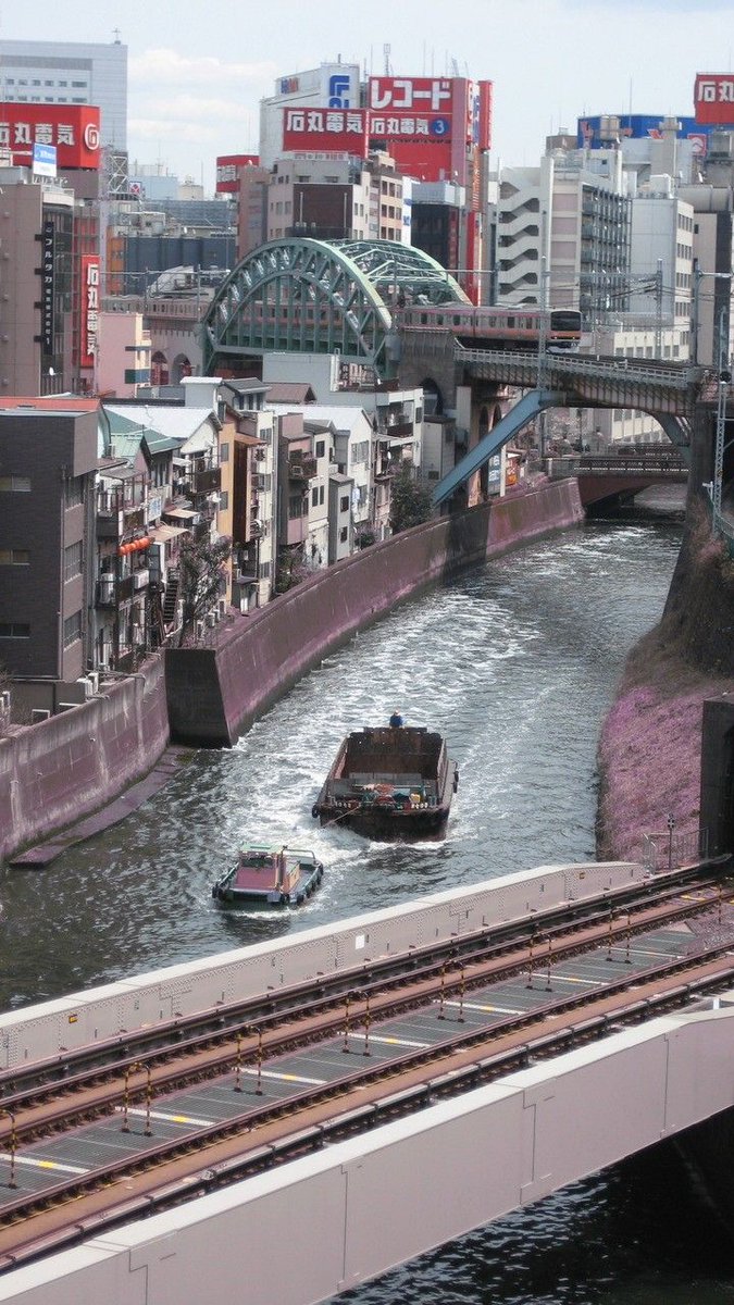 絶妙な塩梅のブス★その名は如月 tweet media