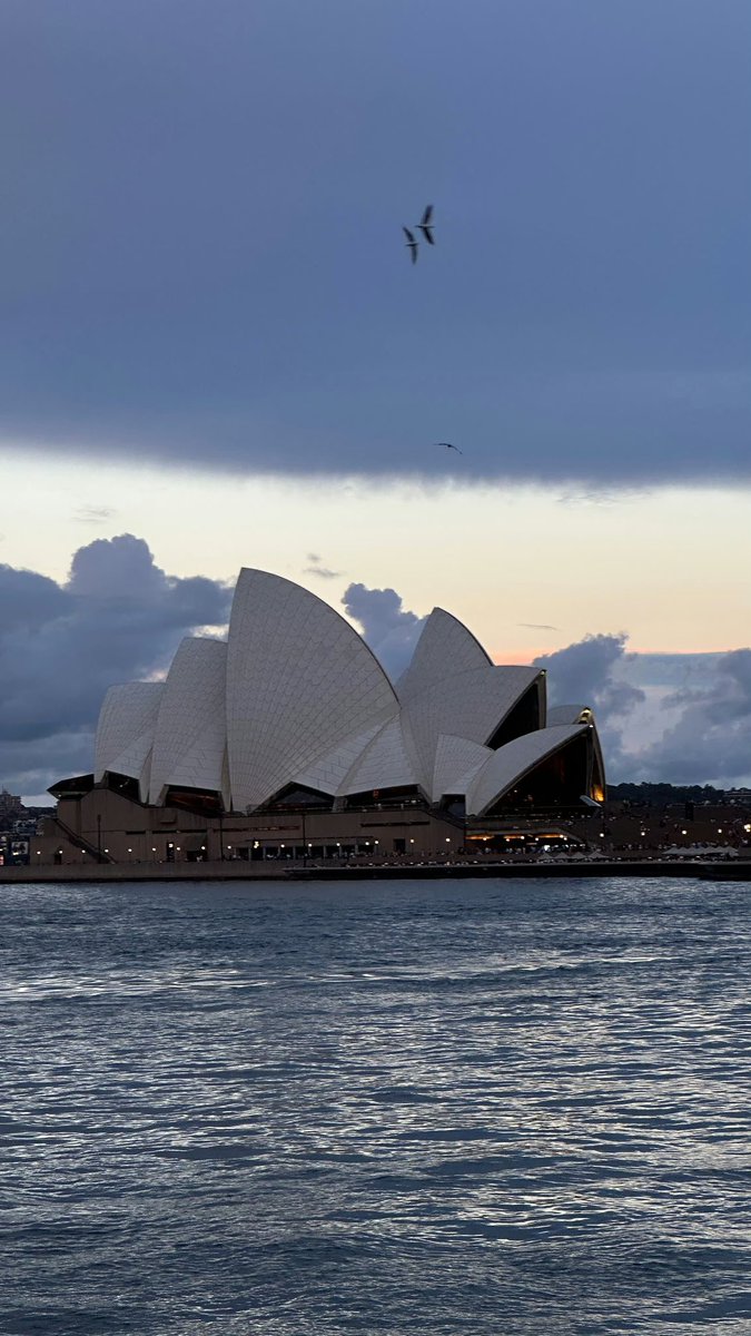 糊糊u_ tweet media