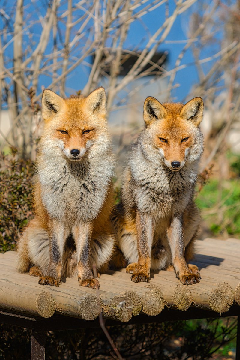 黒崎十士郎 tweet media