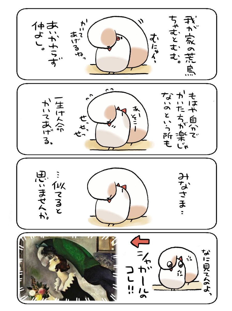 我が家のちゃむむむ日記 