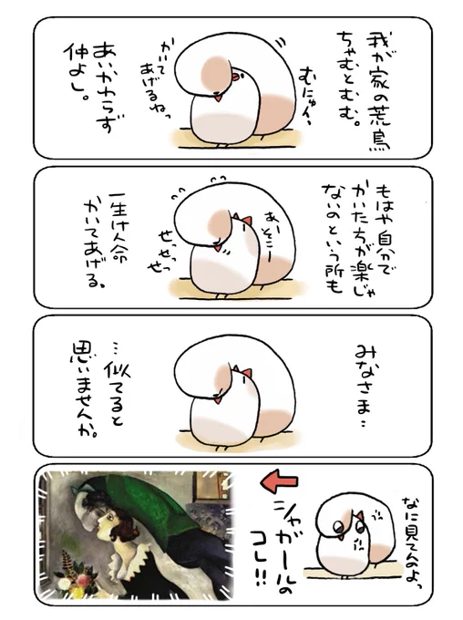 我が家のちゃむむむ日記 
