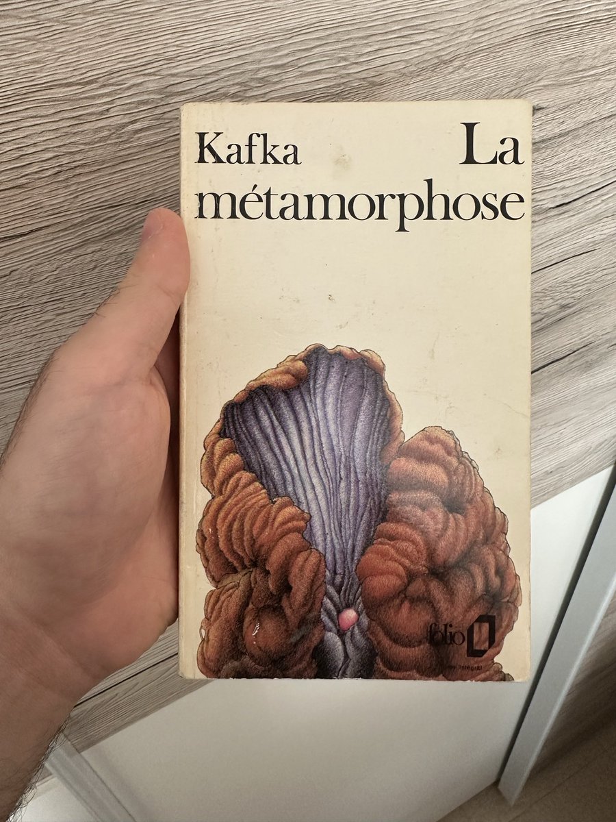 KeriiimBey's tweet photo. @Gamze1ii Hormis le Saint Coran déjà cité, y’a ce livre que j’aime beaucoup 
Pas très long et super intéressant ! https://t.co/M4DMTcAbbK