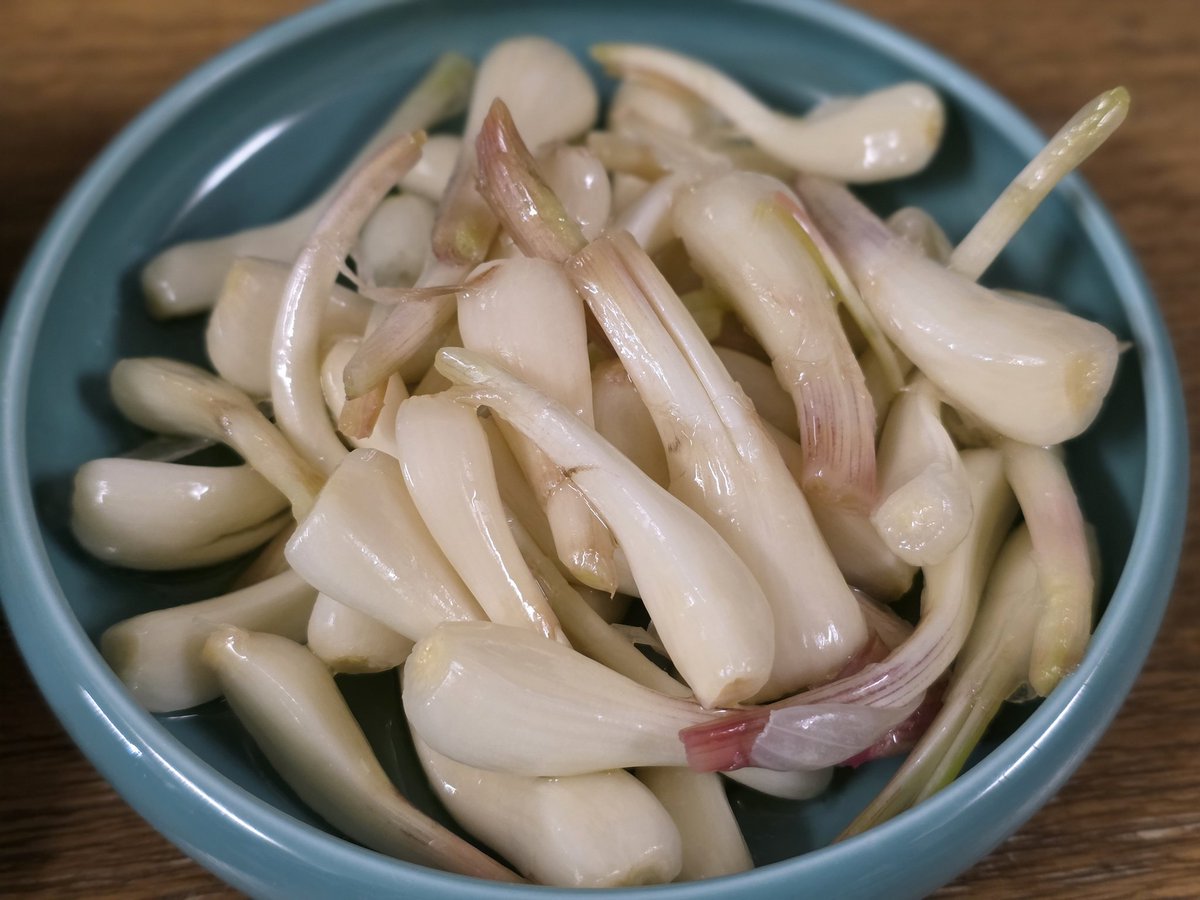 海-かい tweet media