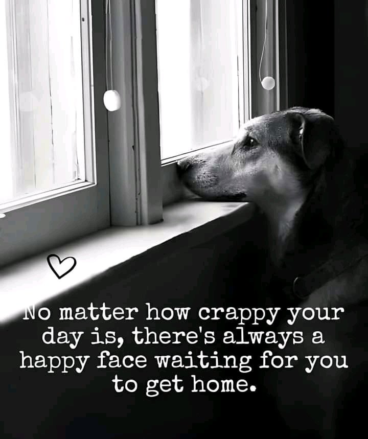 Jodiegomez27's tweet photo. https://t.co/lBU4JCUIPB
