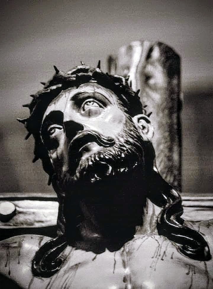 Tiene que ser elevado el Hijo del hombre, para que todo el que cree en él tenga vida eterna. Jn. 3