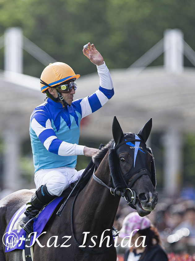 ヴィルシーナ (2014年ヴィクトリアマイル) Verxina,a dual Gr.1 stakes