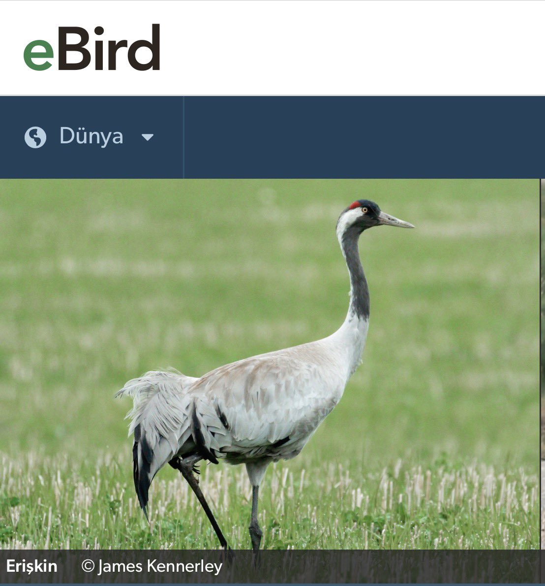 Alper Tüydeş tweet media