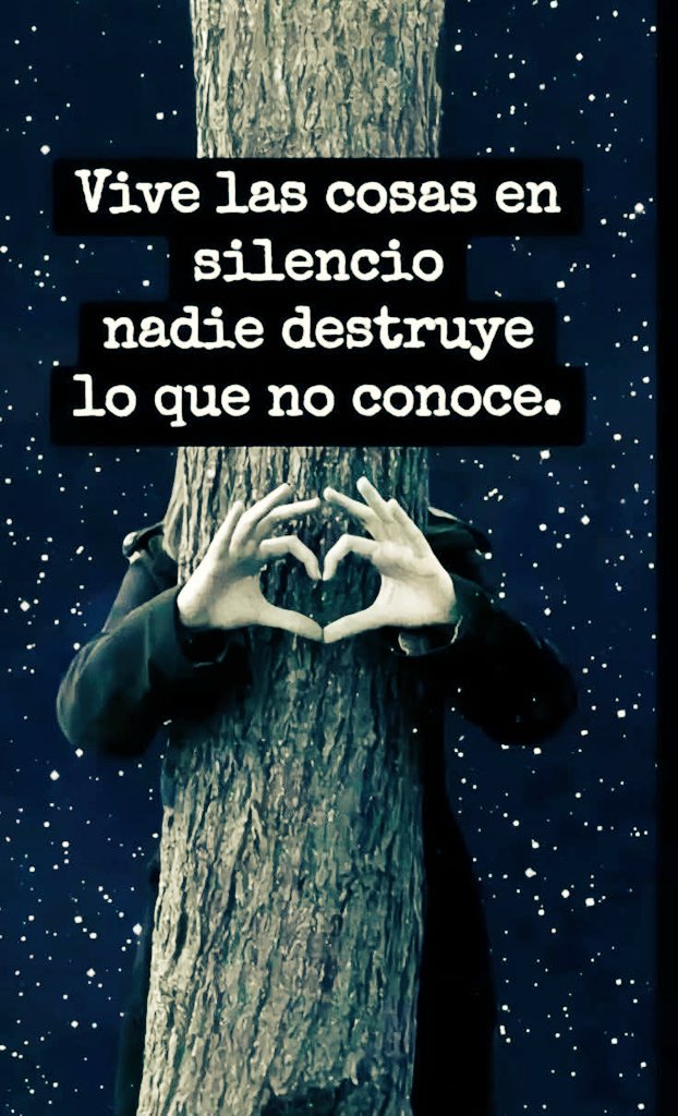 Hanna Arranz tweet media