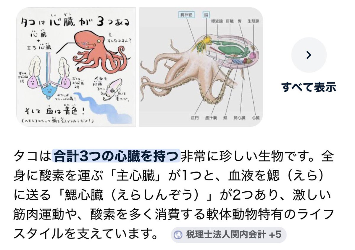 しぇるお ▶︎はろこす tweet media