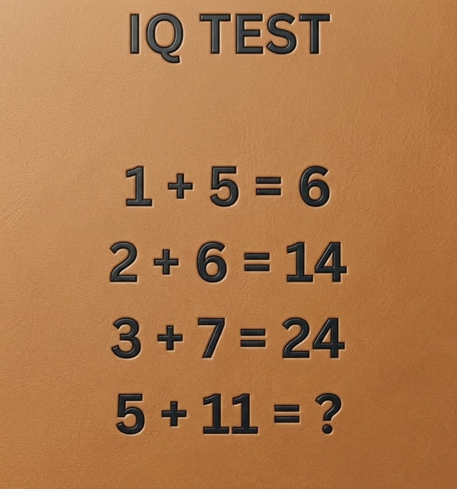 IQ with Aleena tweet media