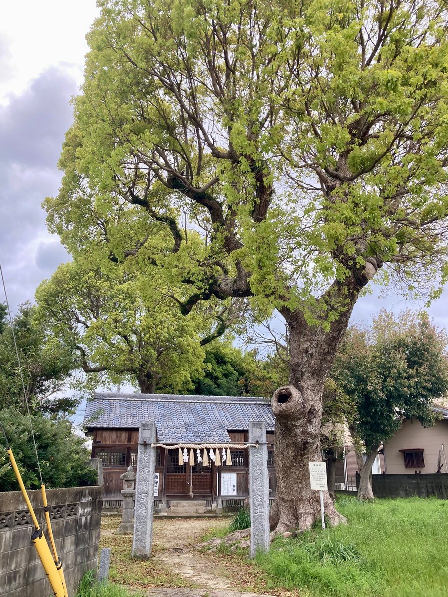 福岡市地下鉄【公式】 tweet media