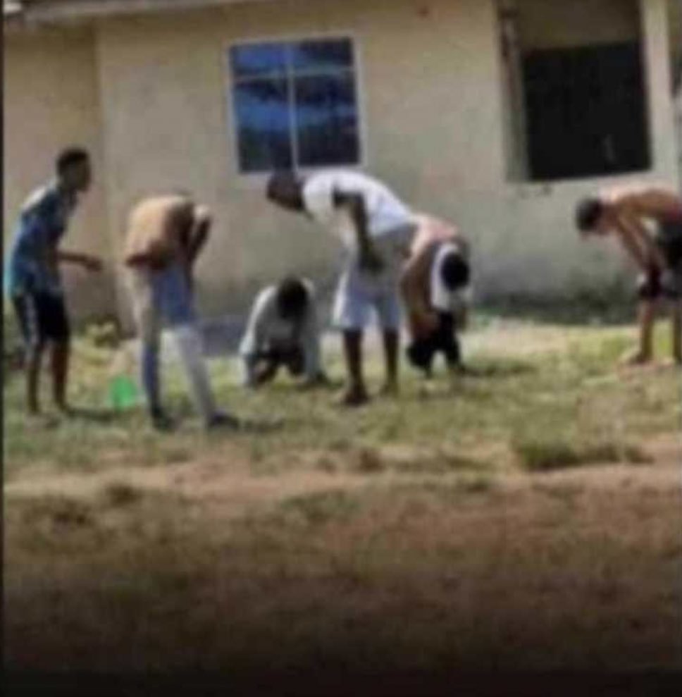 BIG LEO 🦅 tweet media