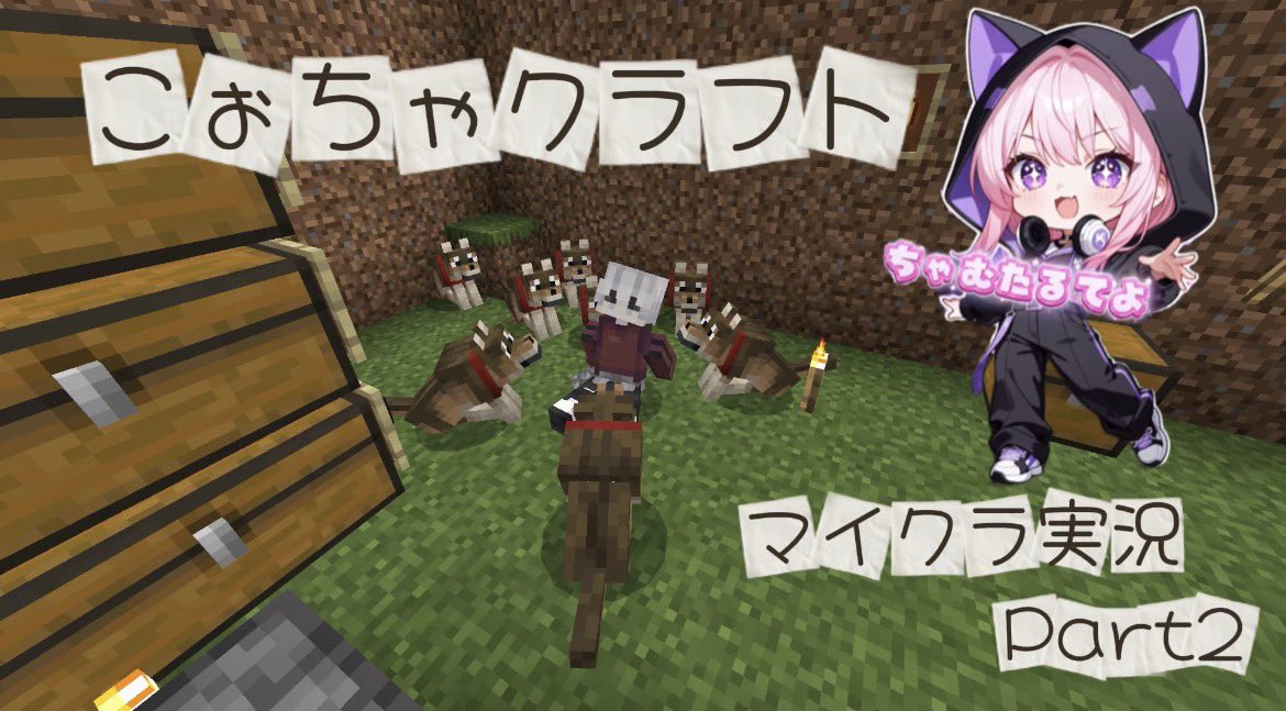 ちゃむねこ tweet media