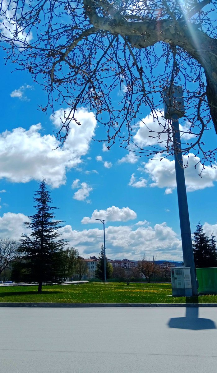 ELOYLAYLOM🤹🏻 tweet media