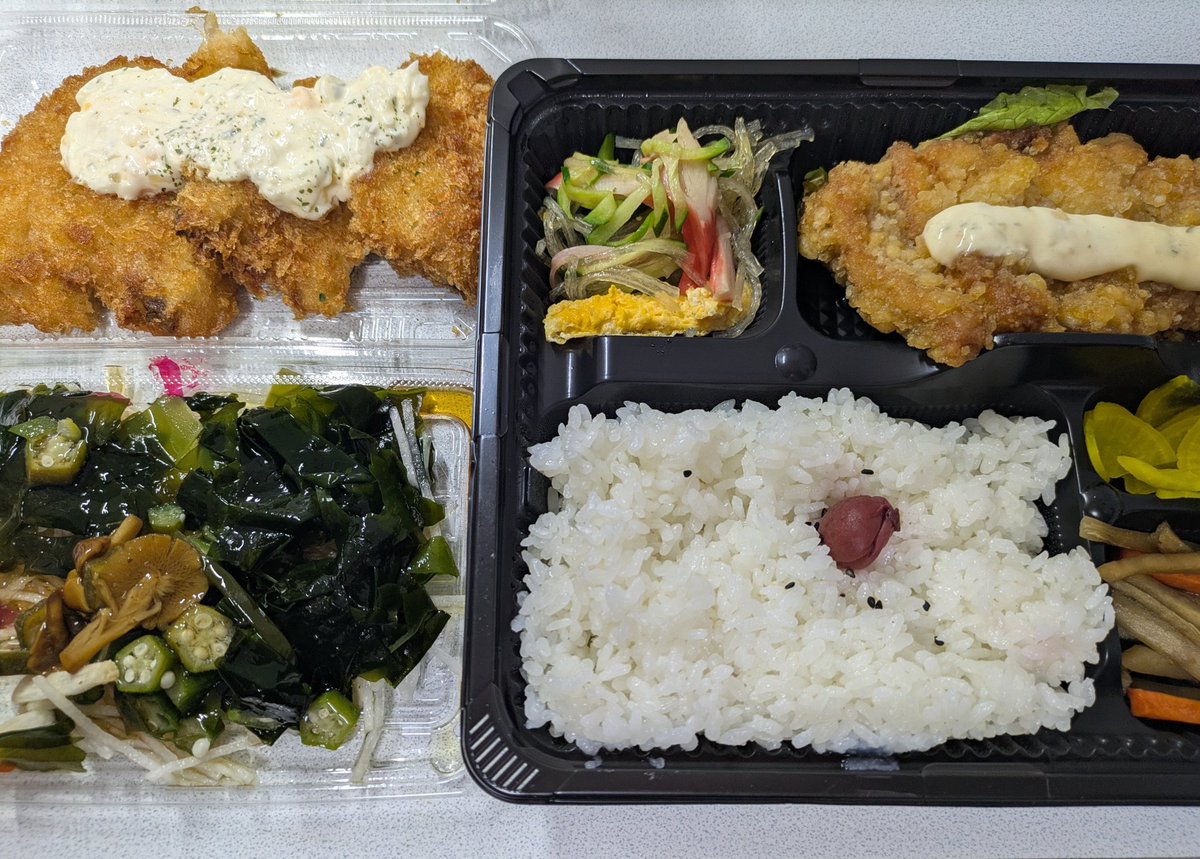 Schrodingers cat tweet media