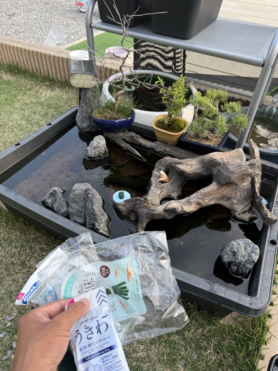 ひろきりんTV tweet media