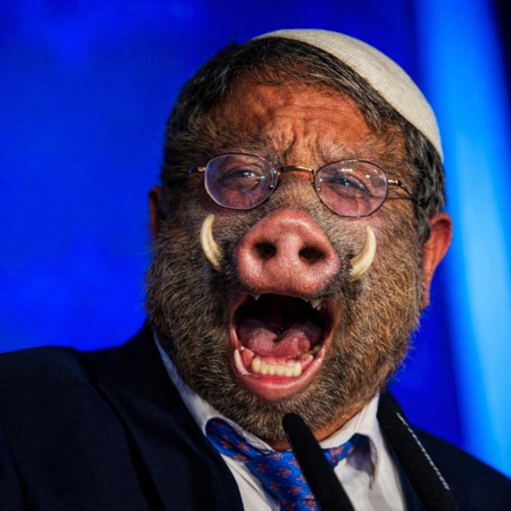 karimullah karim tweet media