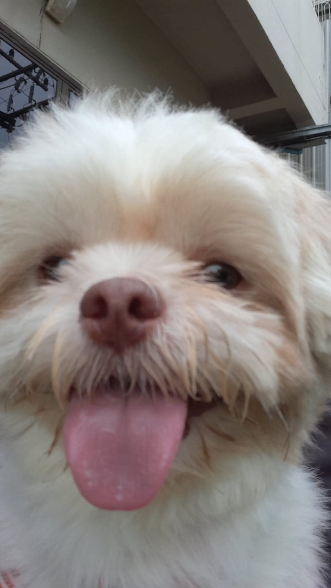 อุ้มอิ๋ม tweet media