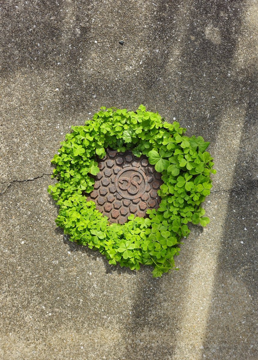 半盏清欢(互 fo ～) tweet media