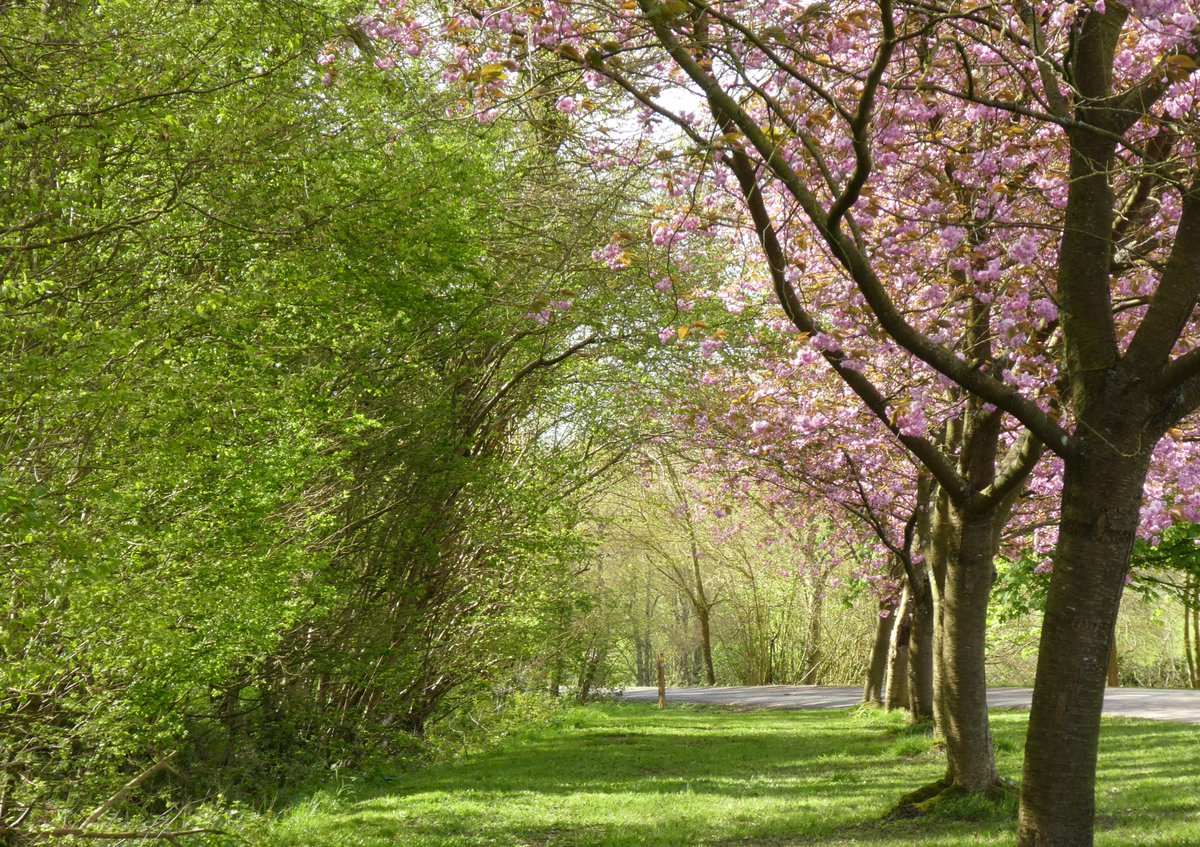 James Dixon tweet media