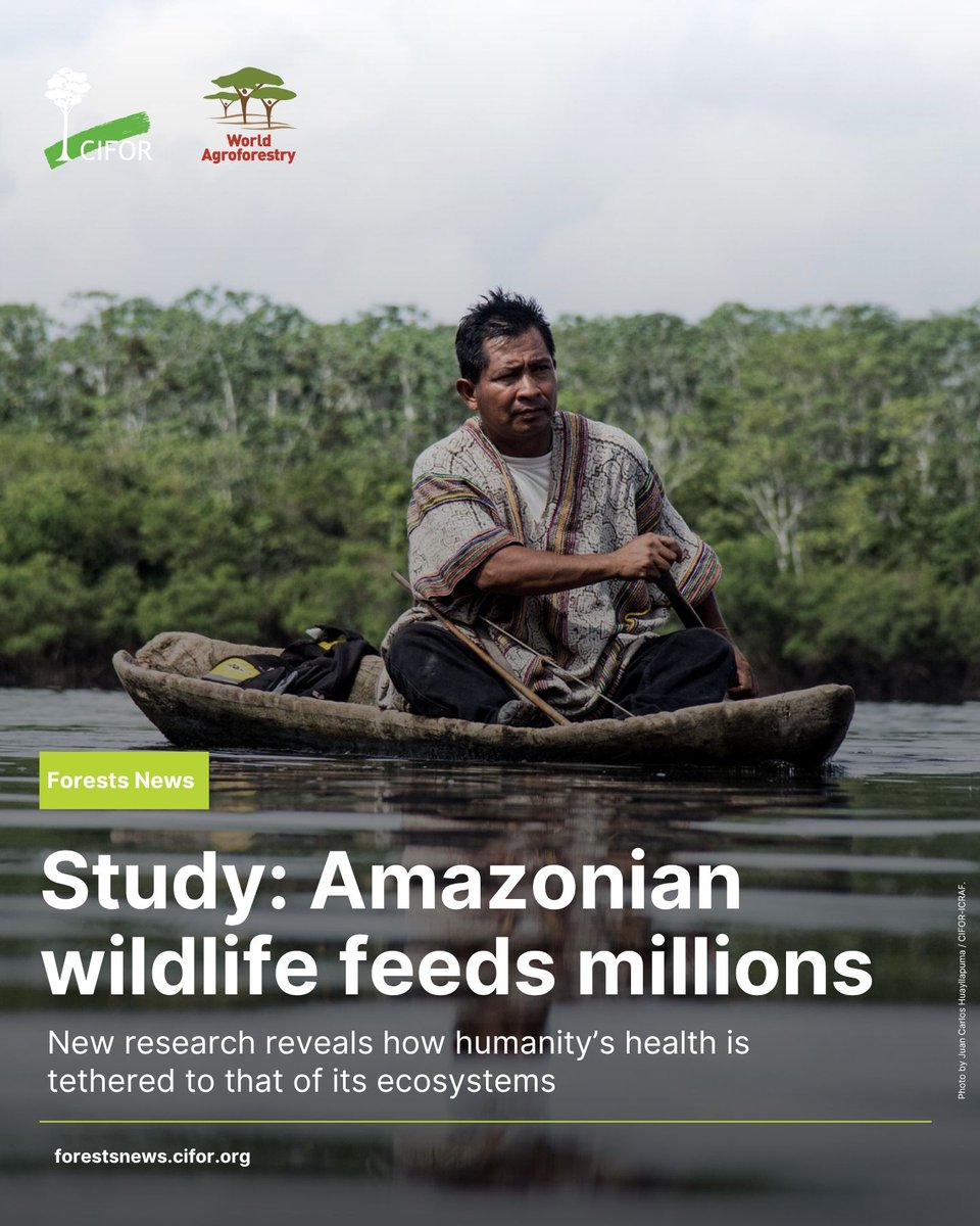 CIFOR-ICRAF tweet media