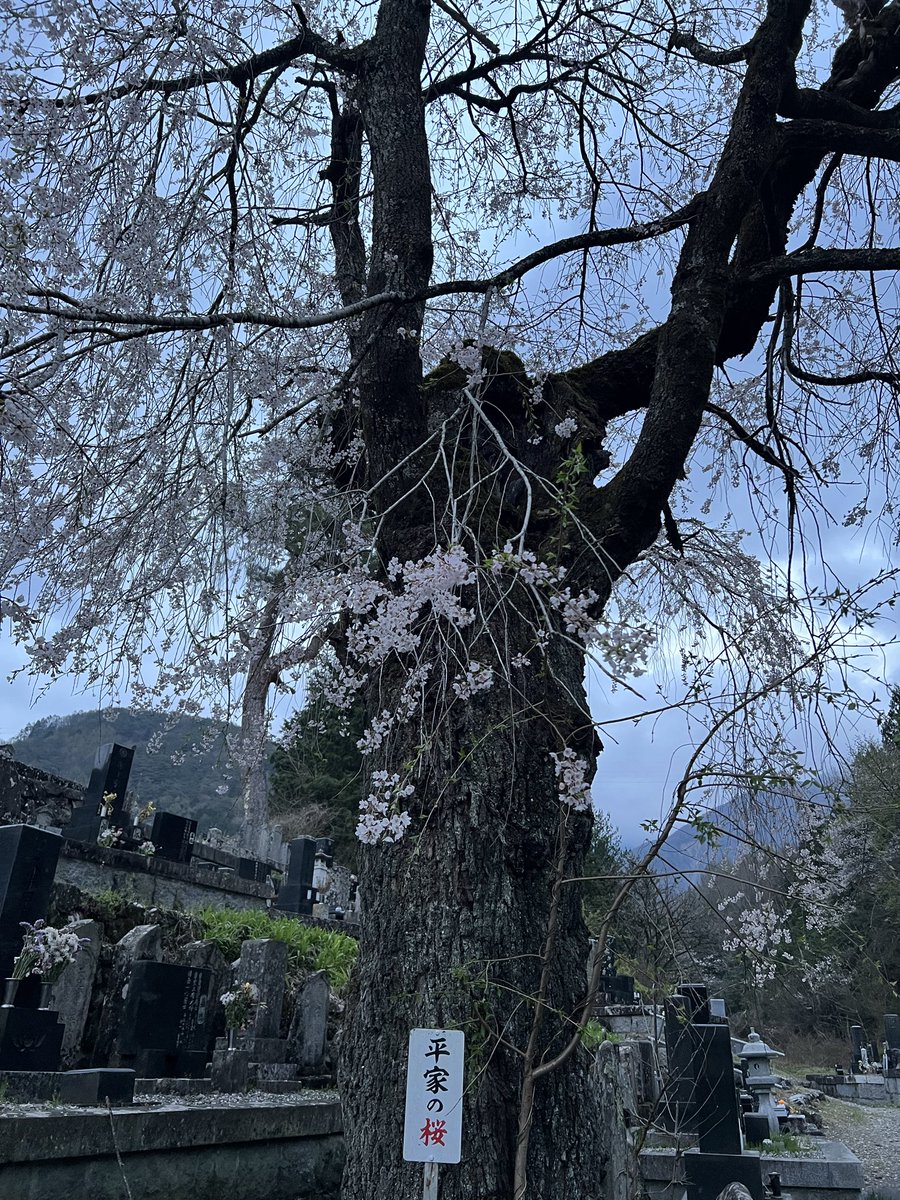 井口智明 tweet media