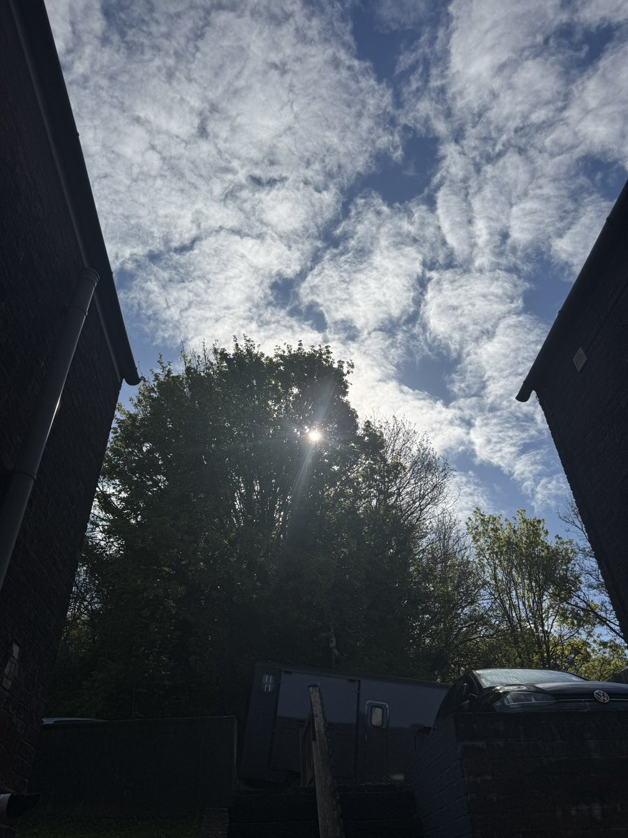 OGUNDERO tweet media