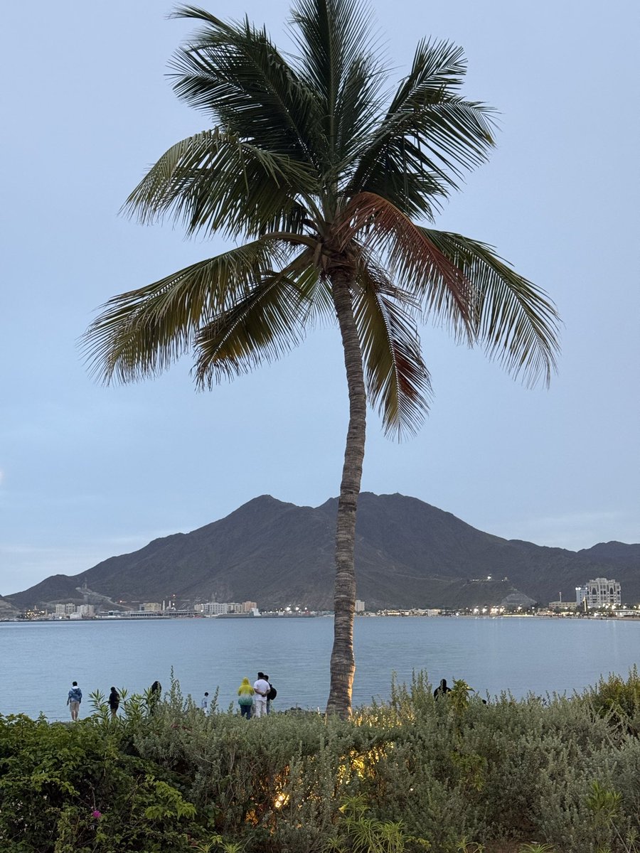 E.ALSUWAIDI♋️ tweet media