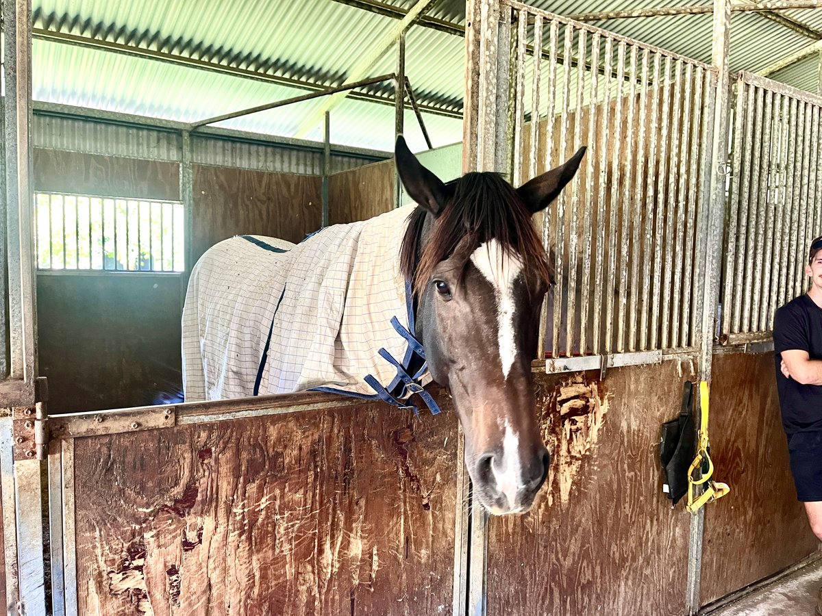 Cafe Reporter tweet media