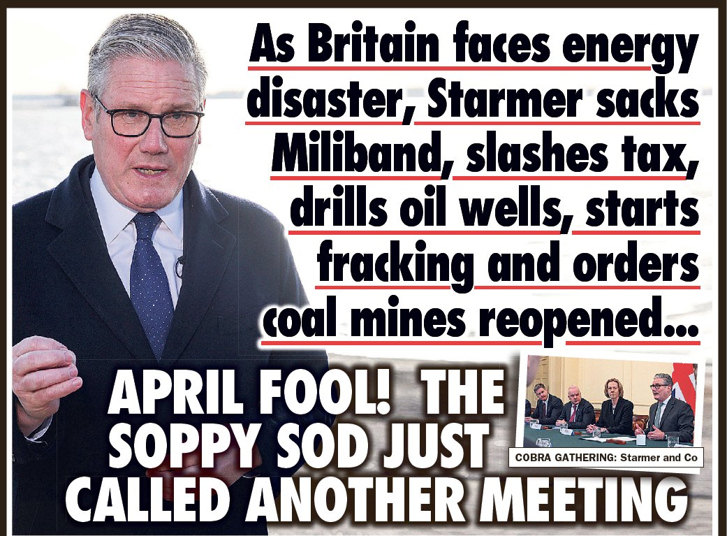 Bisontraveller tweet media