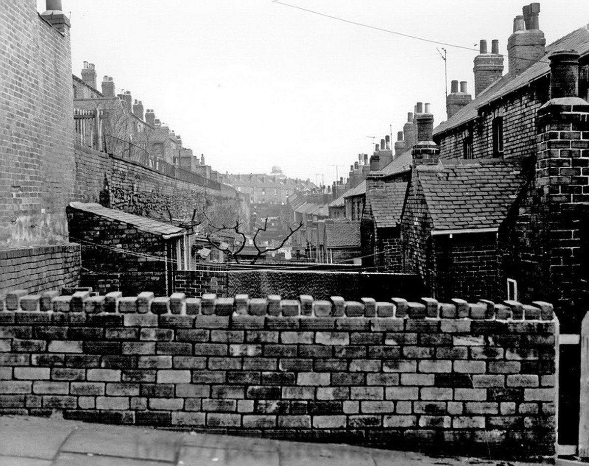 Pott_Shrigley_'s tweet image. Harleston Street looking towards rear of houses fronting Thorndon Road, left and Earsham Street.
Now Harlestone Street Open Space.
#Sheffield