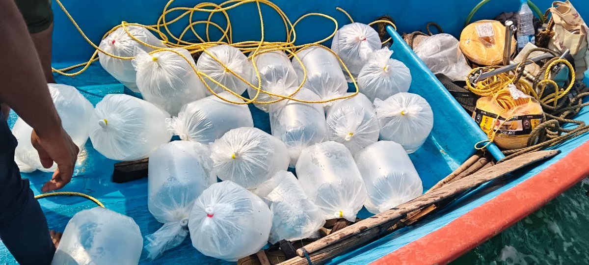 CMFRI -Central Marine Fisheries Research Institute tweet media